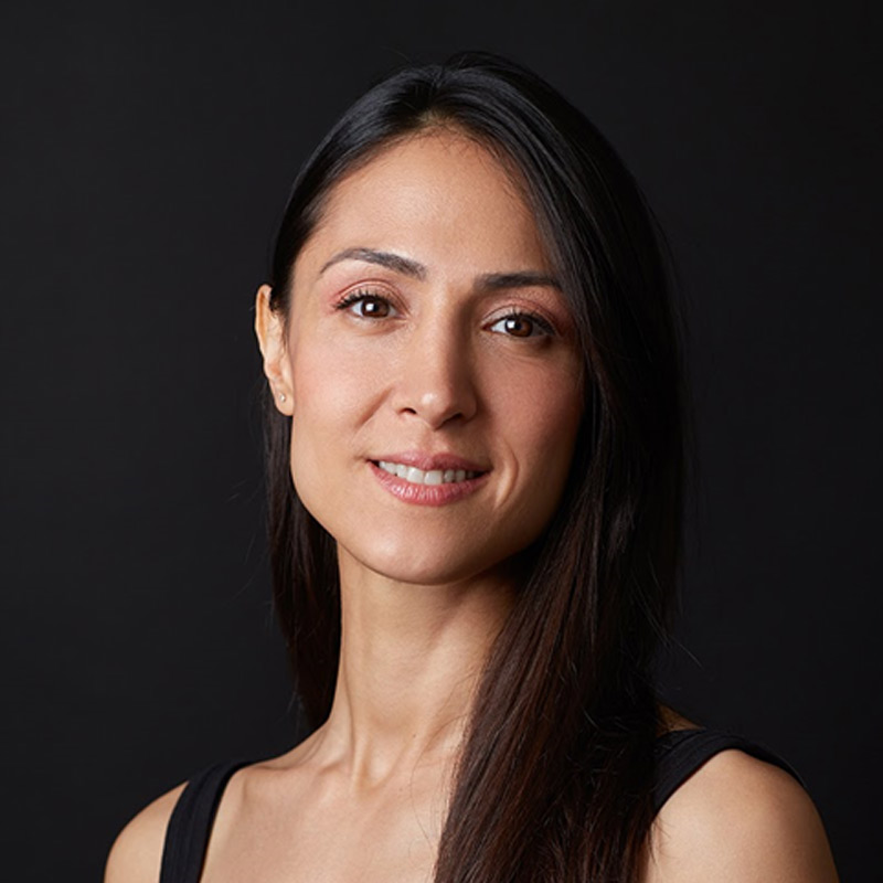 didem atasoy